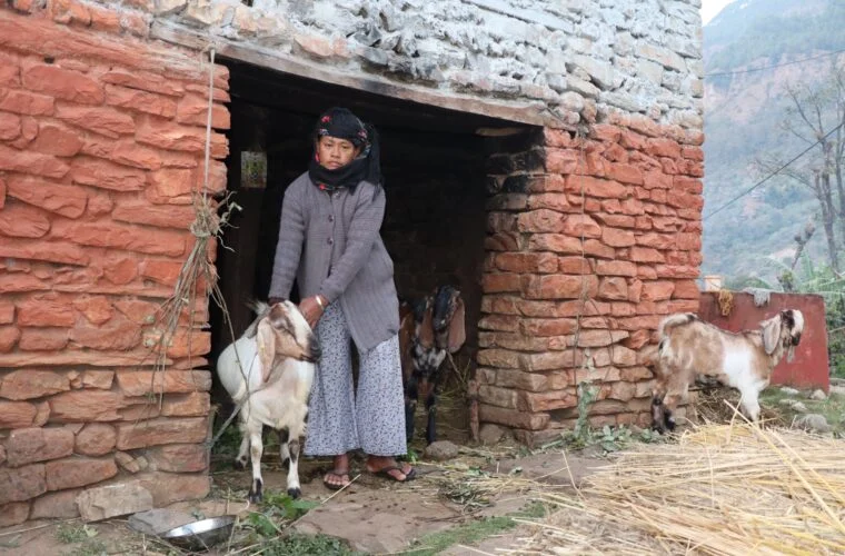 Economic social risk management information system effective