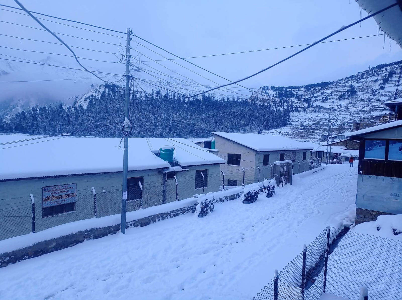 Farmers welcome season’s first snowfall in Sudurpashchim hills