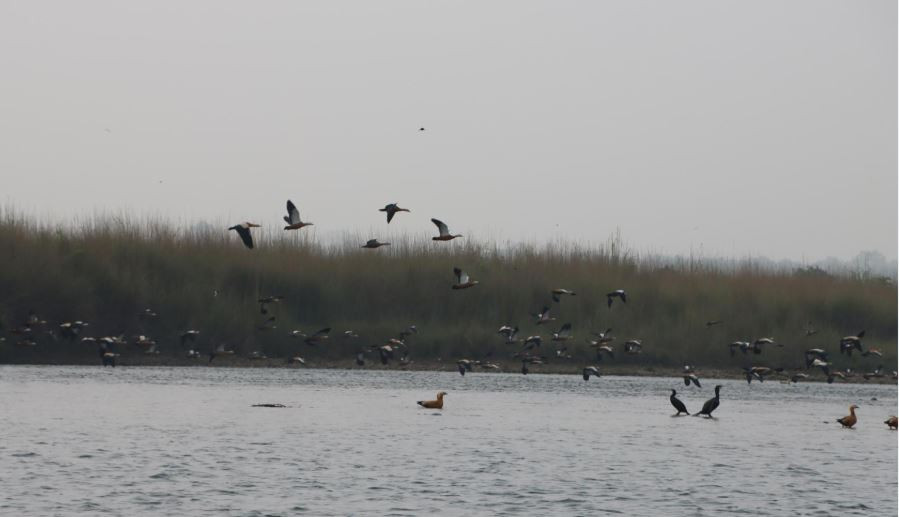 Pictorial book on birds found in Millennium Trekking Route published
