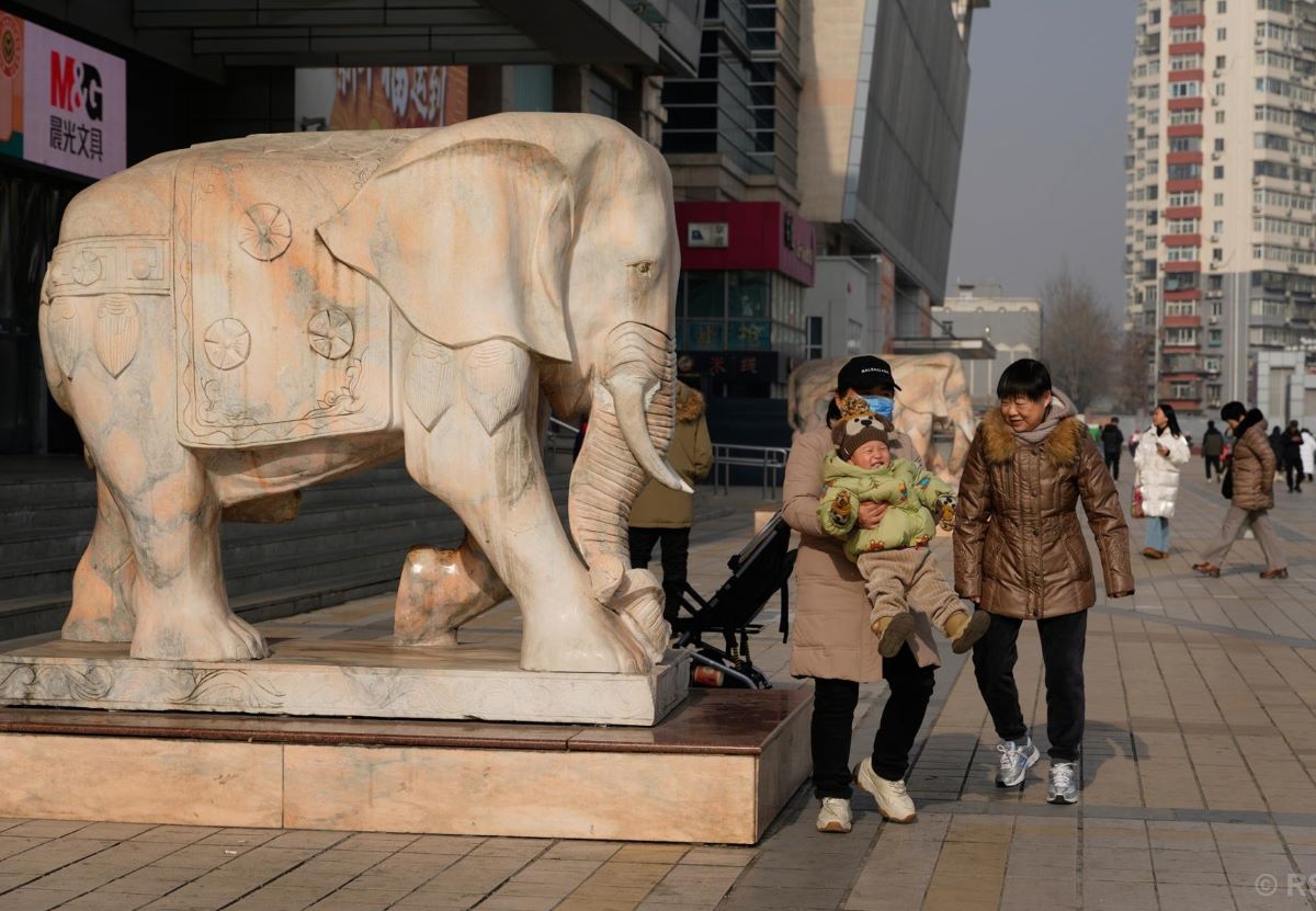 China’s population falls again as births drop 17% a decade after the 1-child policy ended