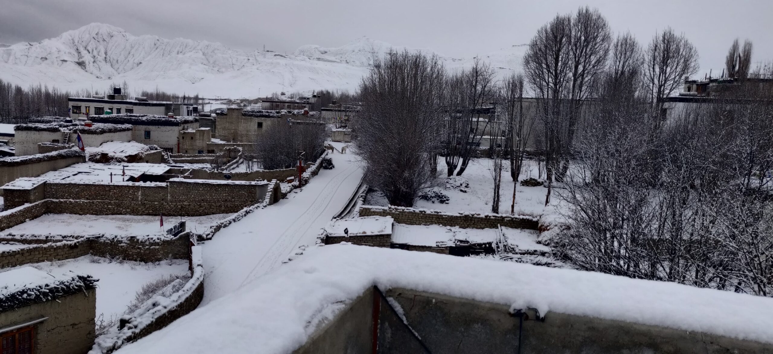 Heavy snowfall in Mustang, Humla and Bajura districts