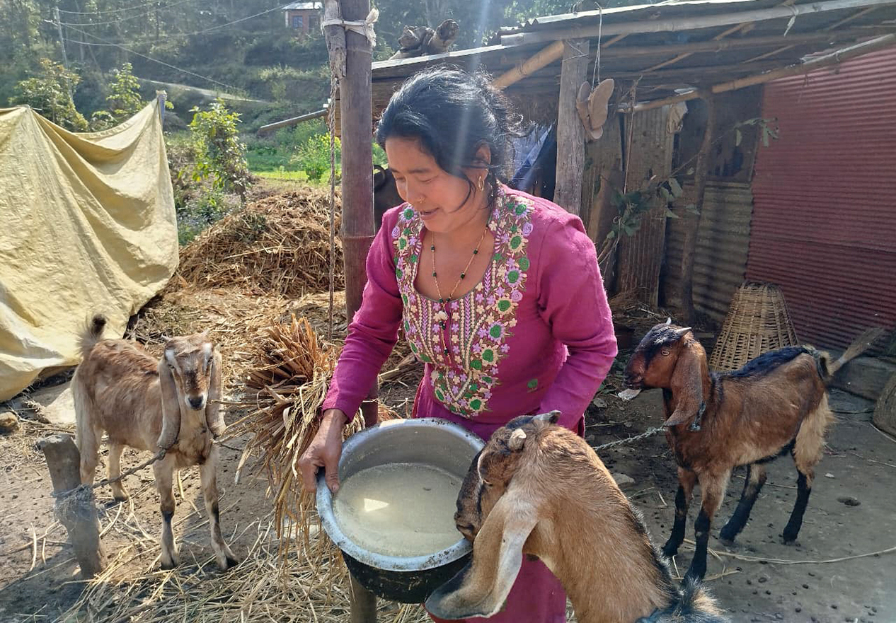 The lament of Timalbesi, unheard even by the neighboring capital