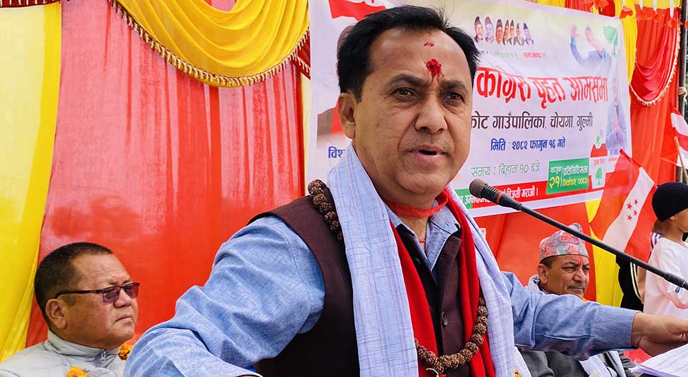 NC Vice President Sharma assures of investigation into properties of party top leaders