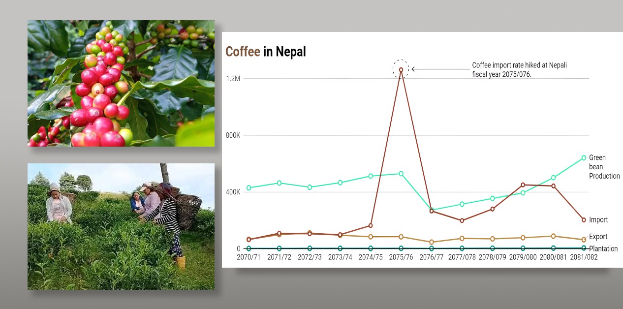 Nepal: Self-sufficient in tea, import-dependent in coffee