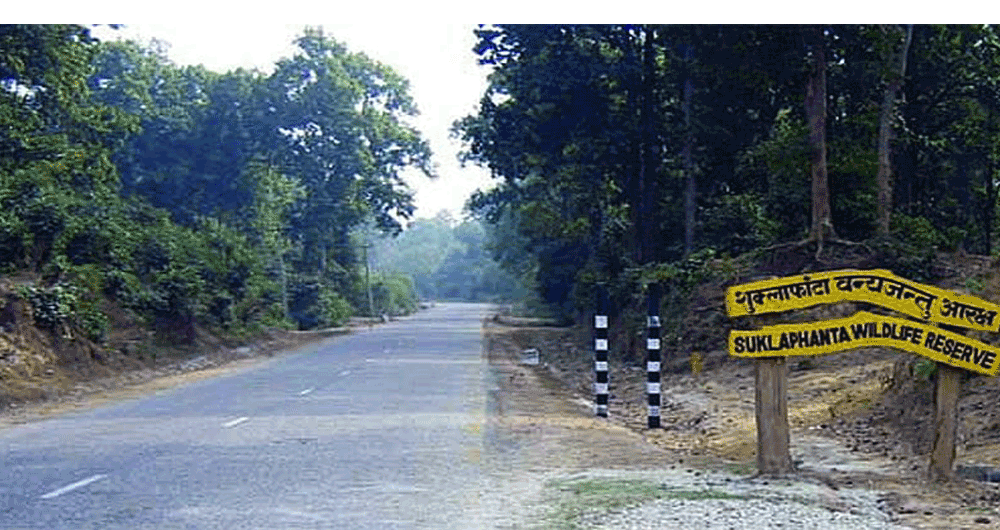 HoR election: Buffer zone electorate wants reduction of human-wildlife conflict