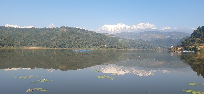 10,000 fingerlings released in Rupa lake