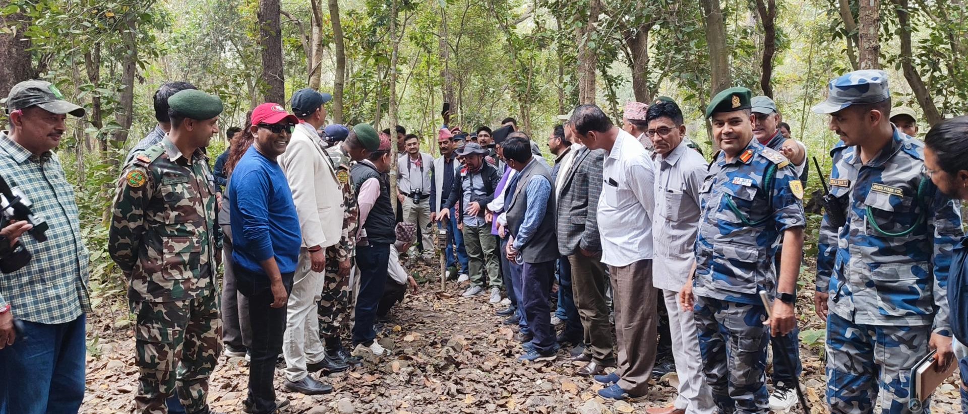 Tiger census commences in Shuklaphanta National Park