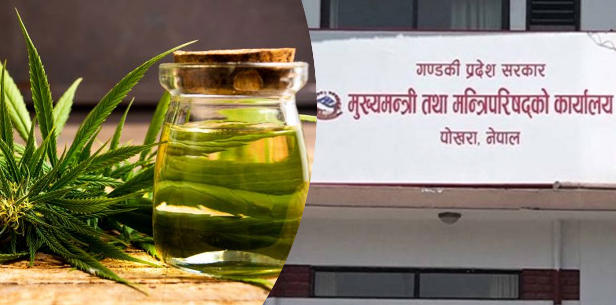 Two subnational governments in Nepal on the path to legalizing cannabis cultivation