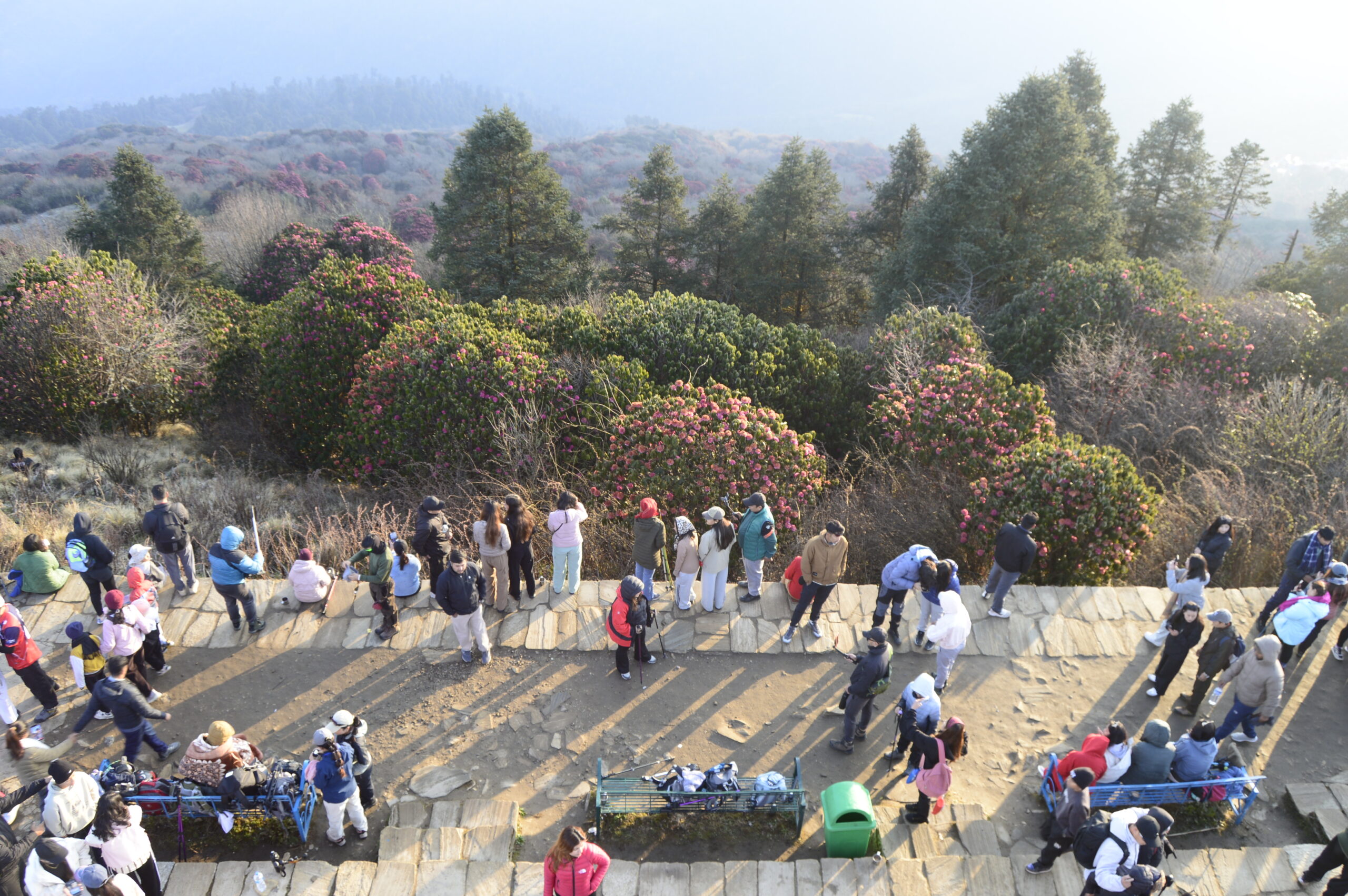 Tourists flock to Ghorepani for the rhododendrons