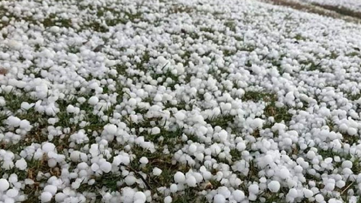 Hailstorm damages crops worth Rs 3 billion in Jhapa