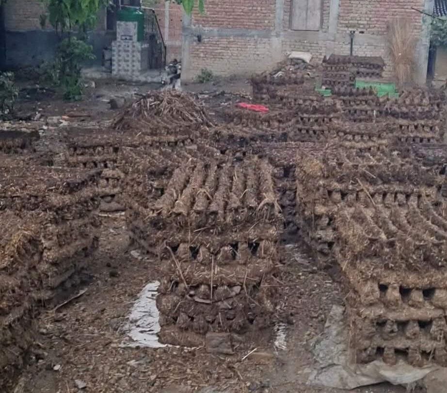 Guintha still a vital fuel source in Rautahat villages