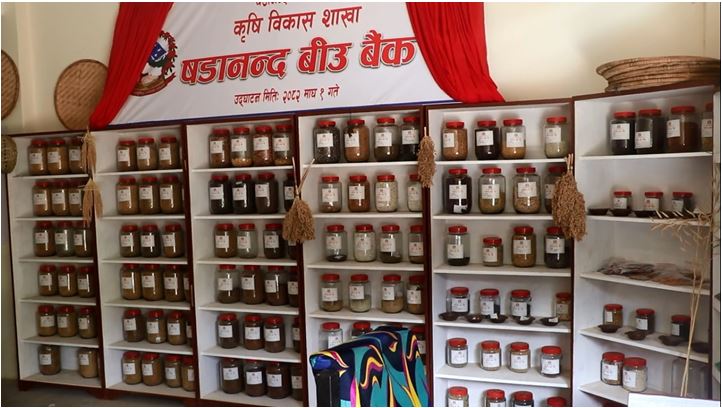 Seeds bank to preserve indigenous agro seeds in northern Bhojpur
