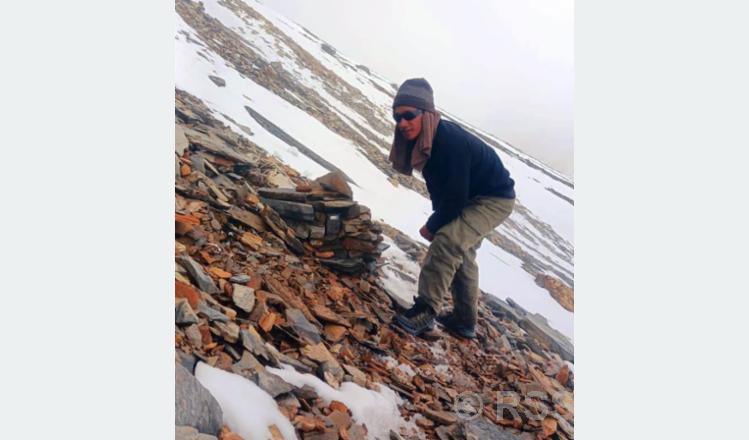 56 cameras installed for snow leopard counting in Dhorpatan