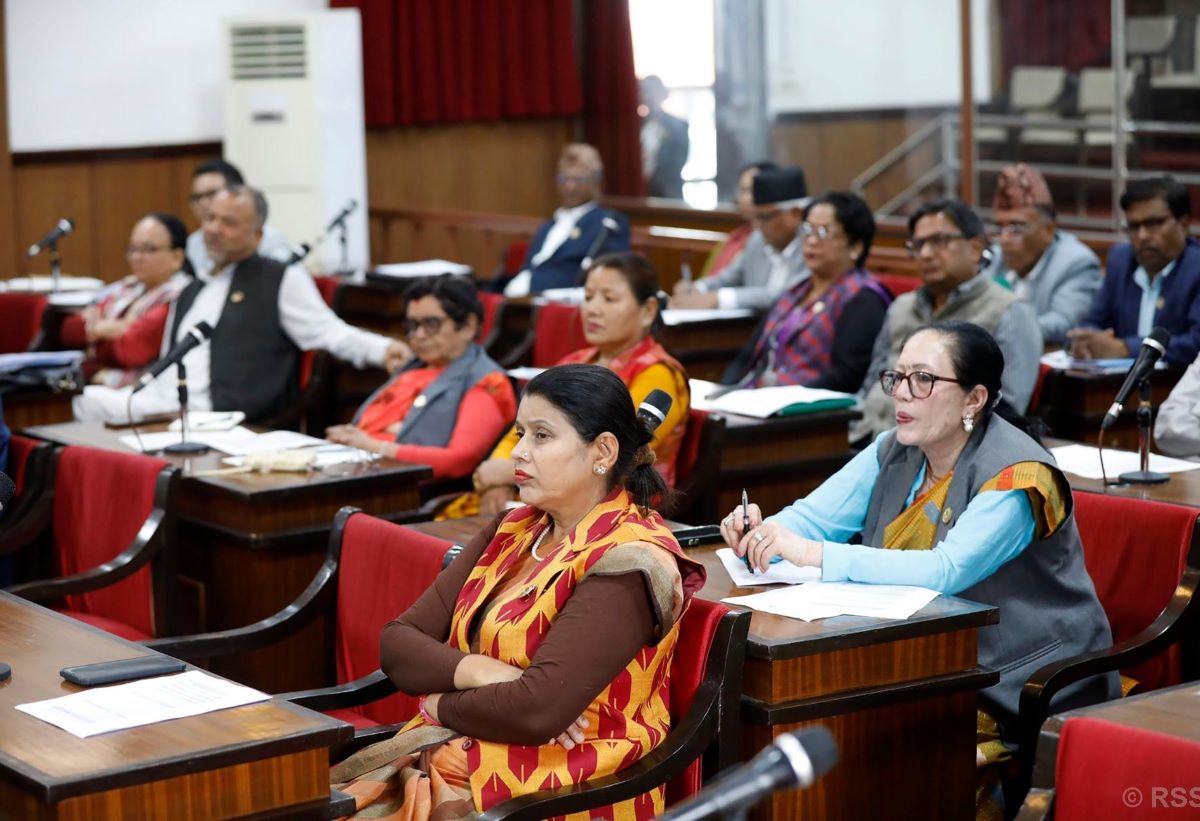 NA lawmakers stress on promotion of investment, agriculture and tourism