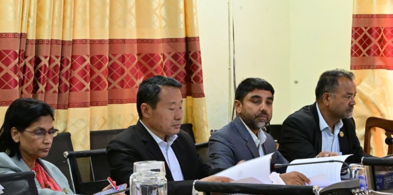 What is the procedure for the proposed Chief Justice’s parliamentary hearing?
