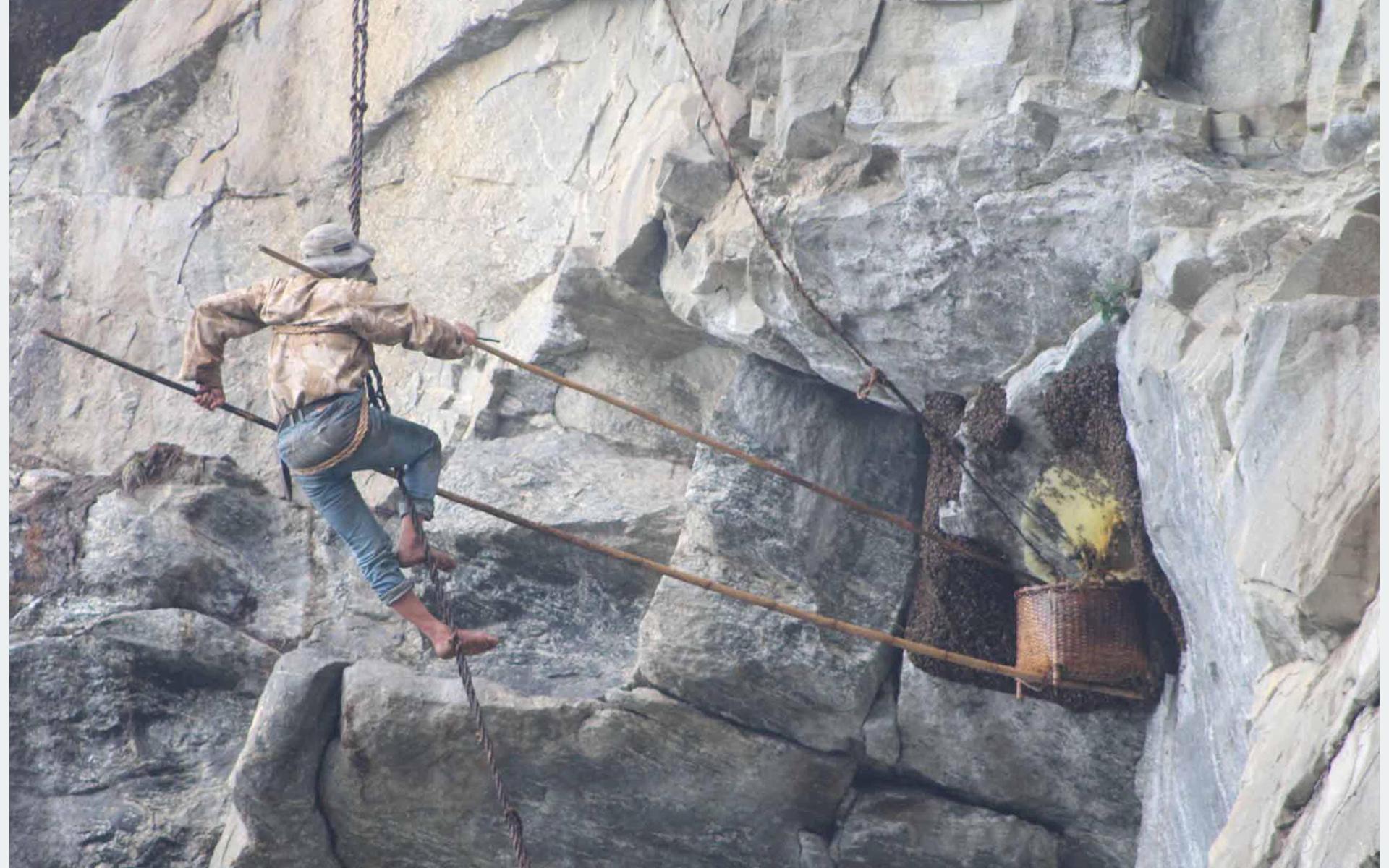 ‘Honey hunting’ festival in Khotang