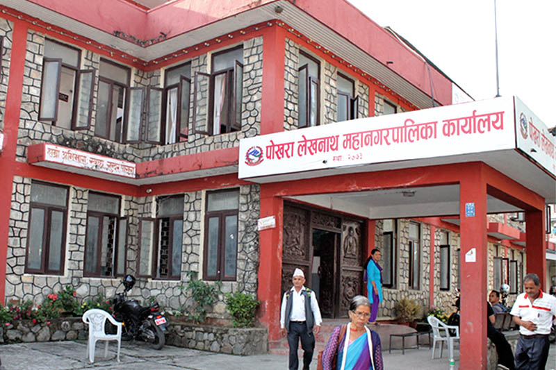 Pokhara Metropolitan City distributing paddy seeds to farmers
