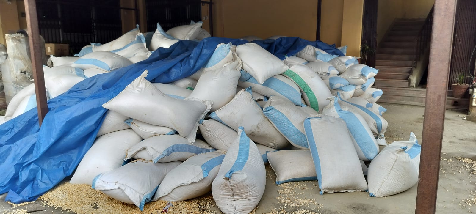 Police seize Rs 9 million pumpkin seeds, use tear gas after locals obstruct operation