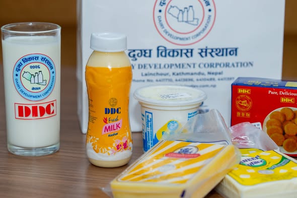 DDC products promotion discussed in cabinet meeting