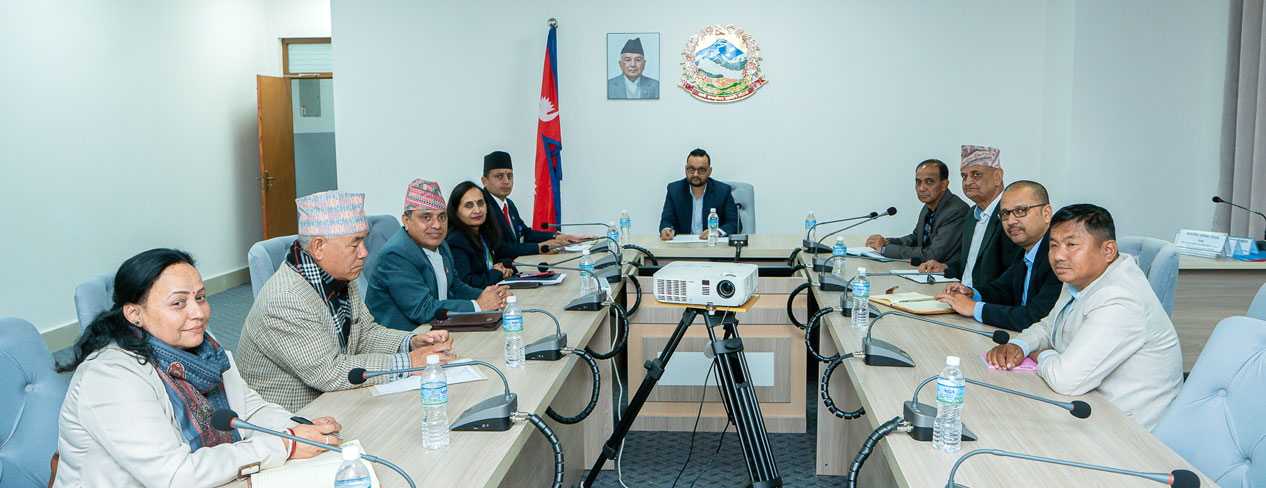 Constitution amendment task force receives over 44,000 suggestions from citizens