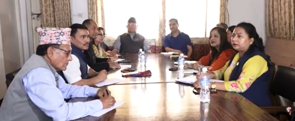 Nepali Congress decides to vigilantly alert government over weaknesses