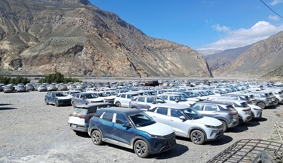 BYD electric vehicles detained in Mustang released
