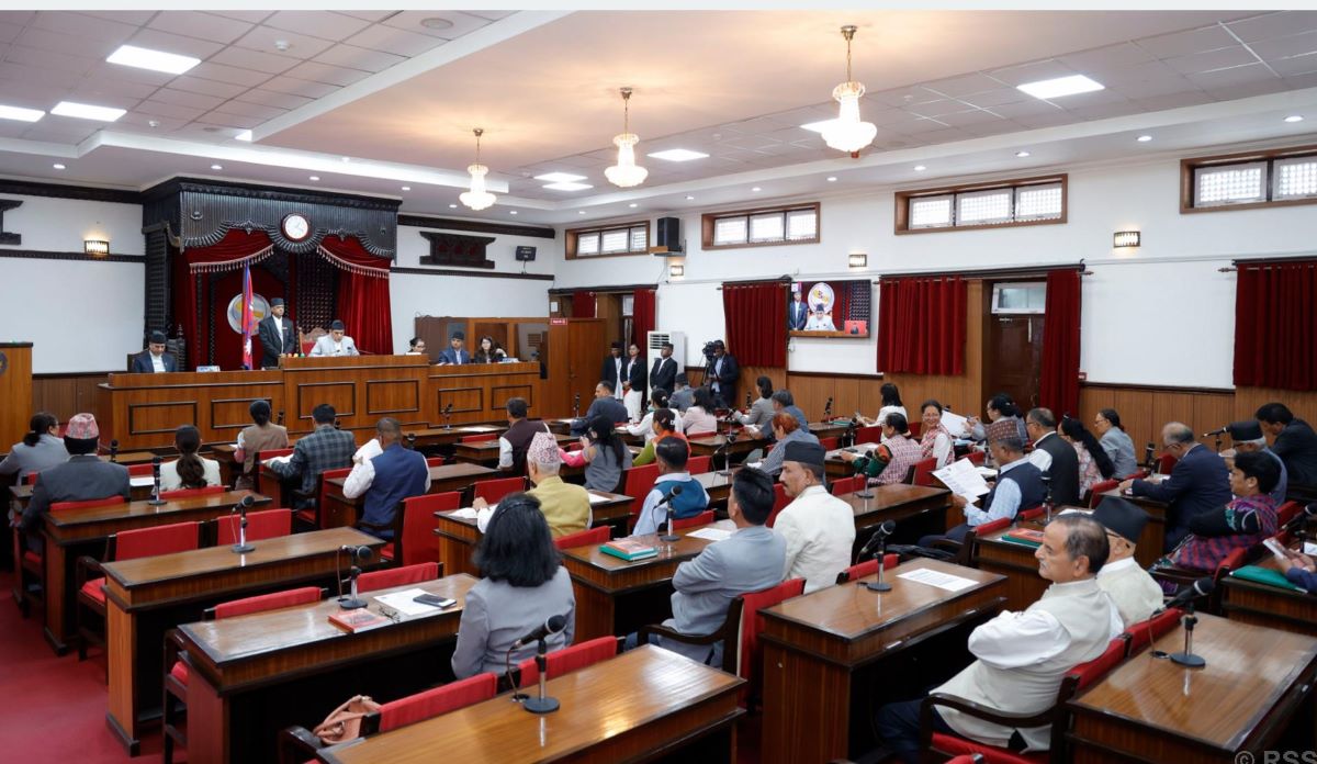 NA meeting: MPs demand food, accommodation and medicines to displaced squatters