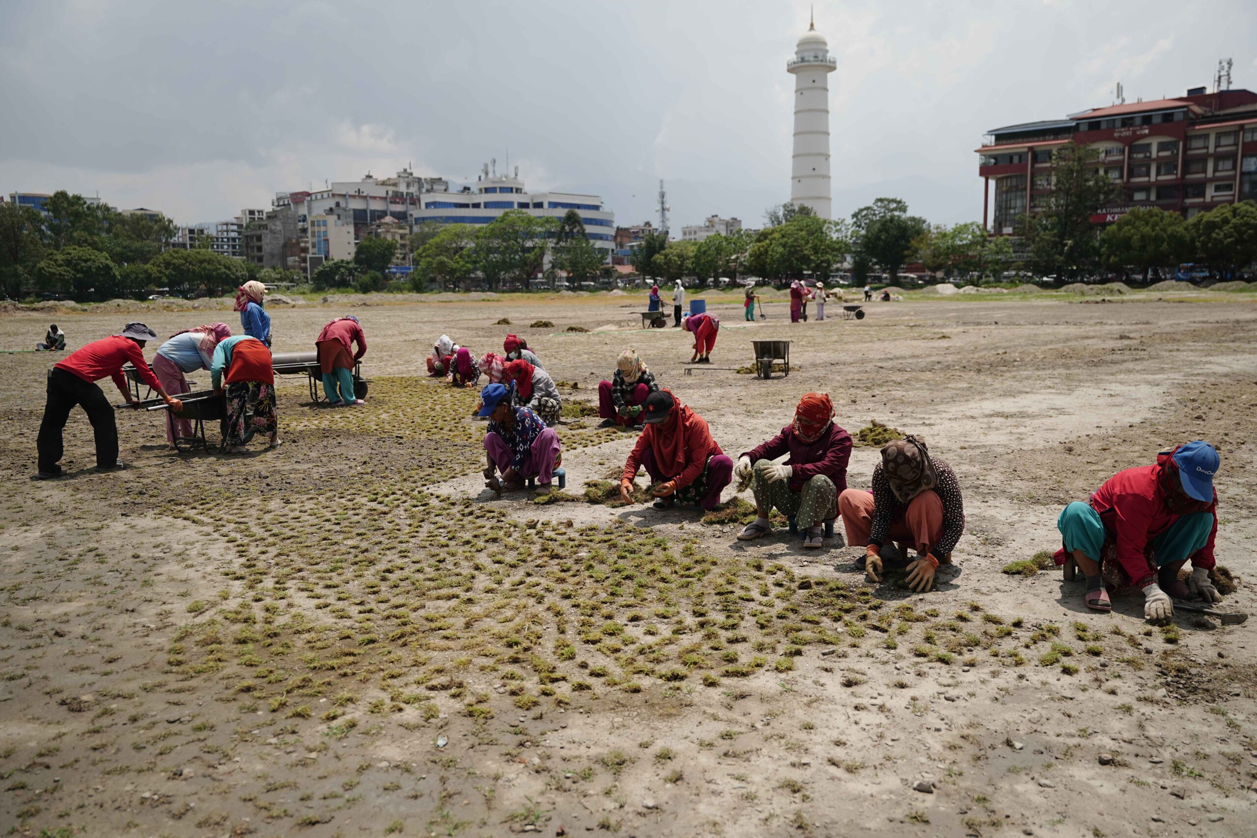 Grass planting intensifies in Tundikhel to promote greenery [Photo Feature]