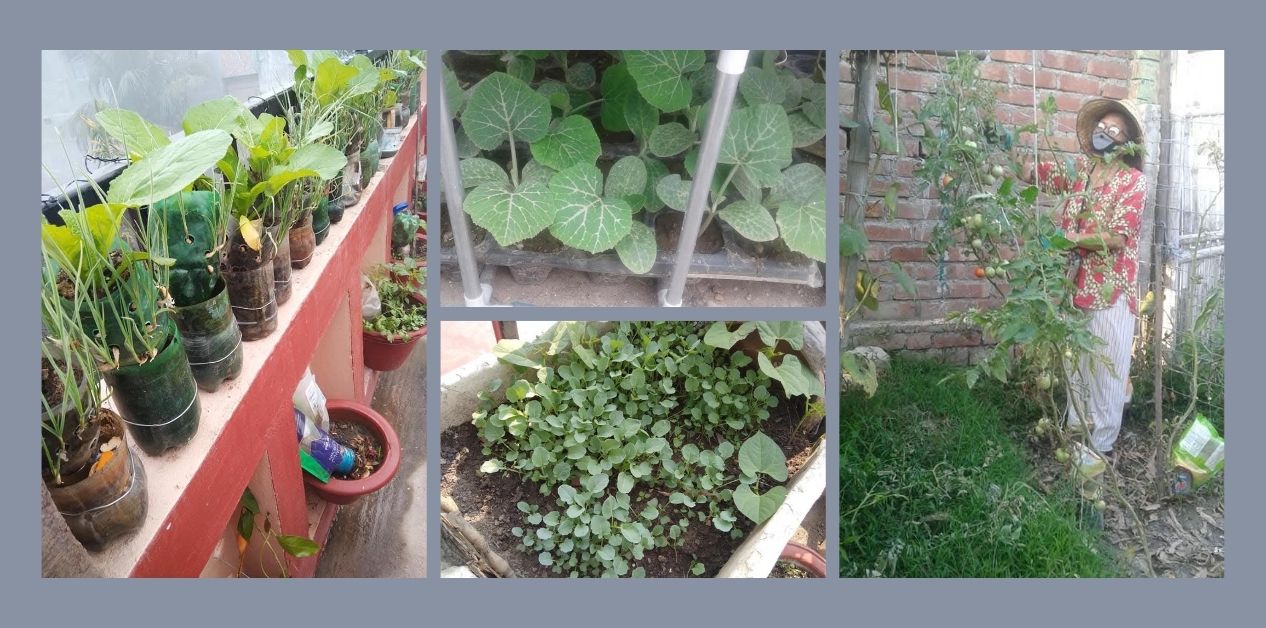 ‘Change starts at home: From kitchen waste to rooftop harvests’