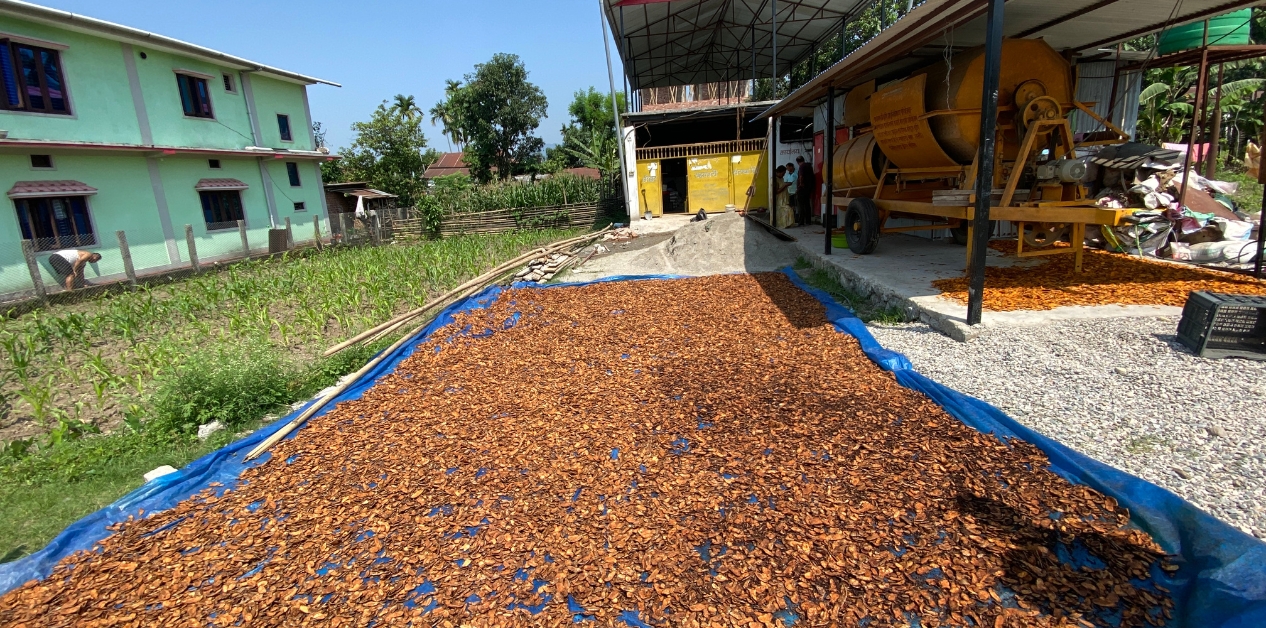 New budget snatches subsidies from smallholders to feed big industry
