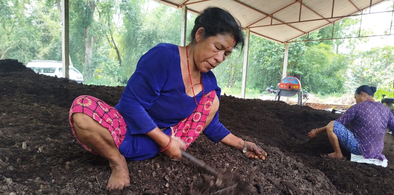Harnessing invasive species: Chitwan’s sustainable path to organic manure self-reliance