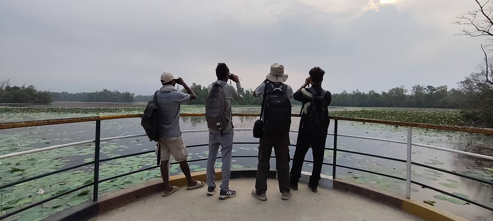 Census of indicator species Cotton Pygmy-Goose begins in Ghodaghodi wetland