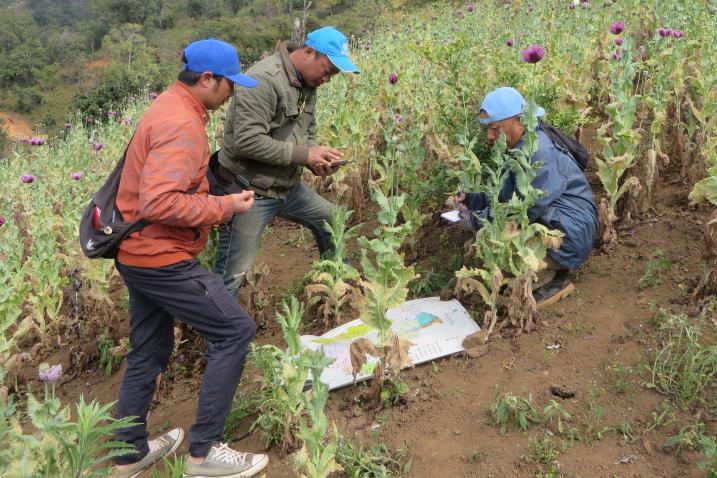 Int’l Day against Drug Abuse and Illicit Trafficking being marked