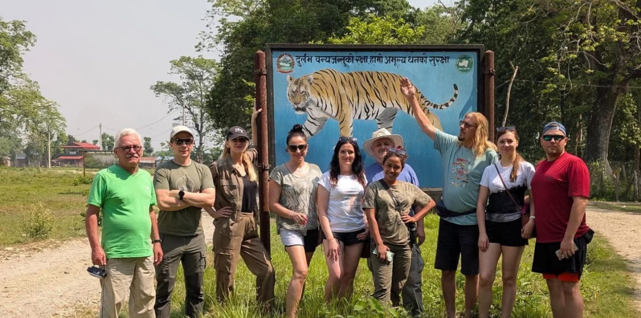 Where books end, a Jungle Queen rises