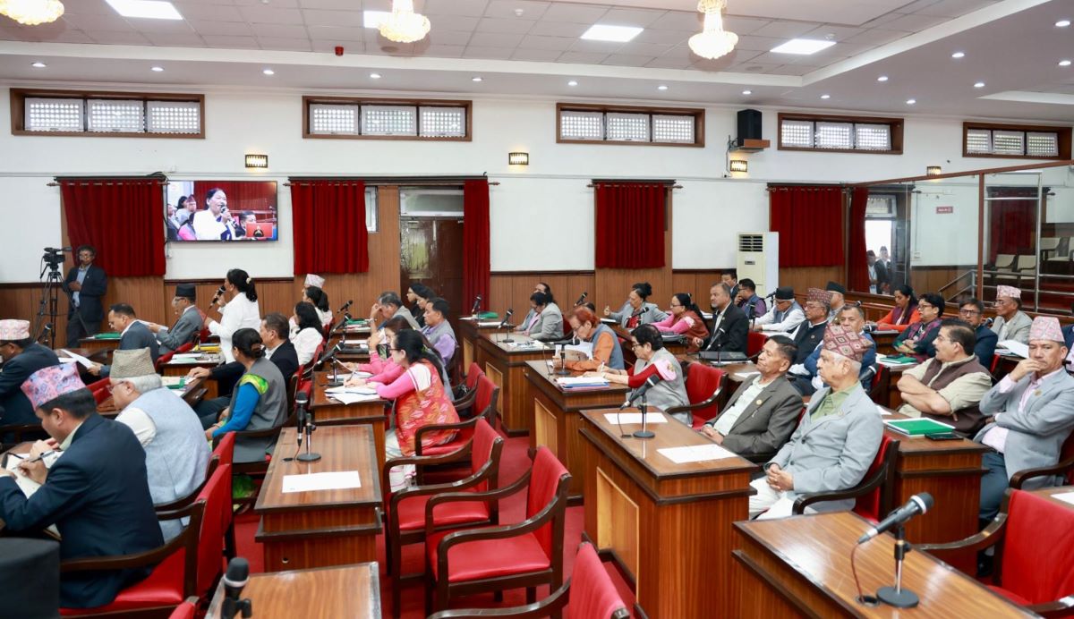 NA meeting: MPs call for addressing Susta border, tea export issues through diplomacy