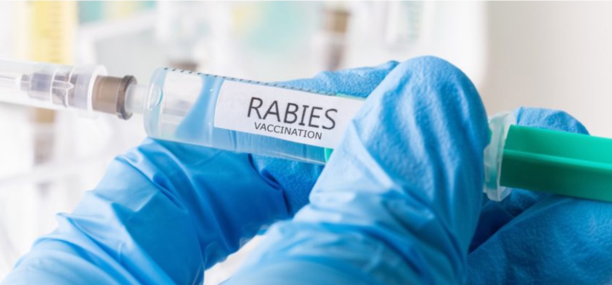 Shortage of anti-rabies vaccine in Sudurpaschim