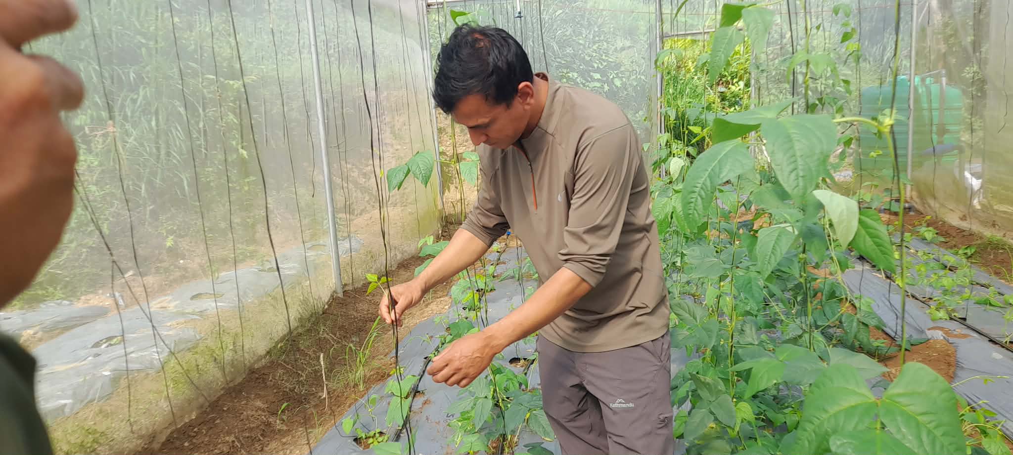 Operating a commercial agricultural farm after returning from Korea