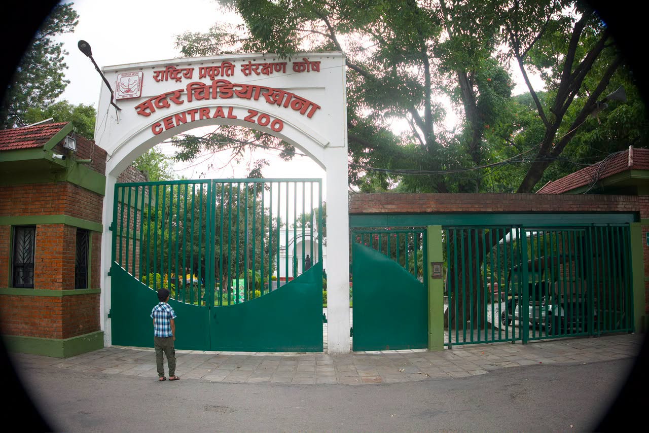 Central Zoo closed indefinitely after Bird Flu detection