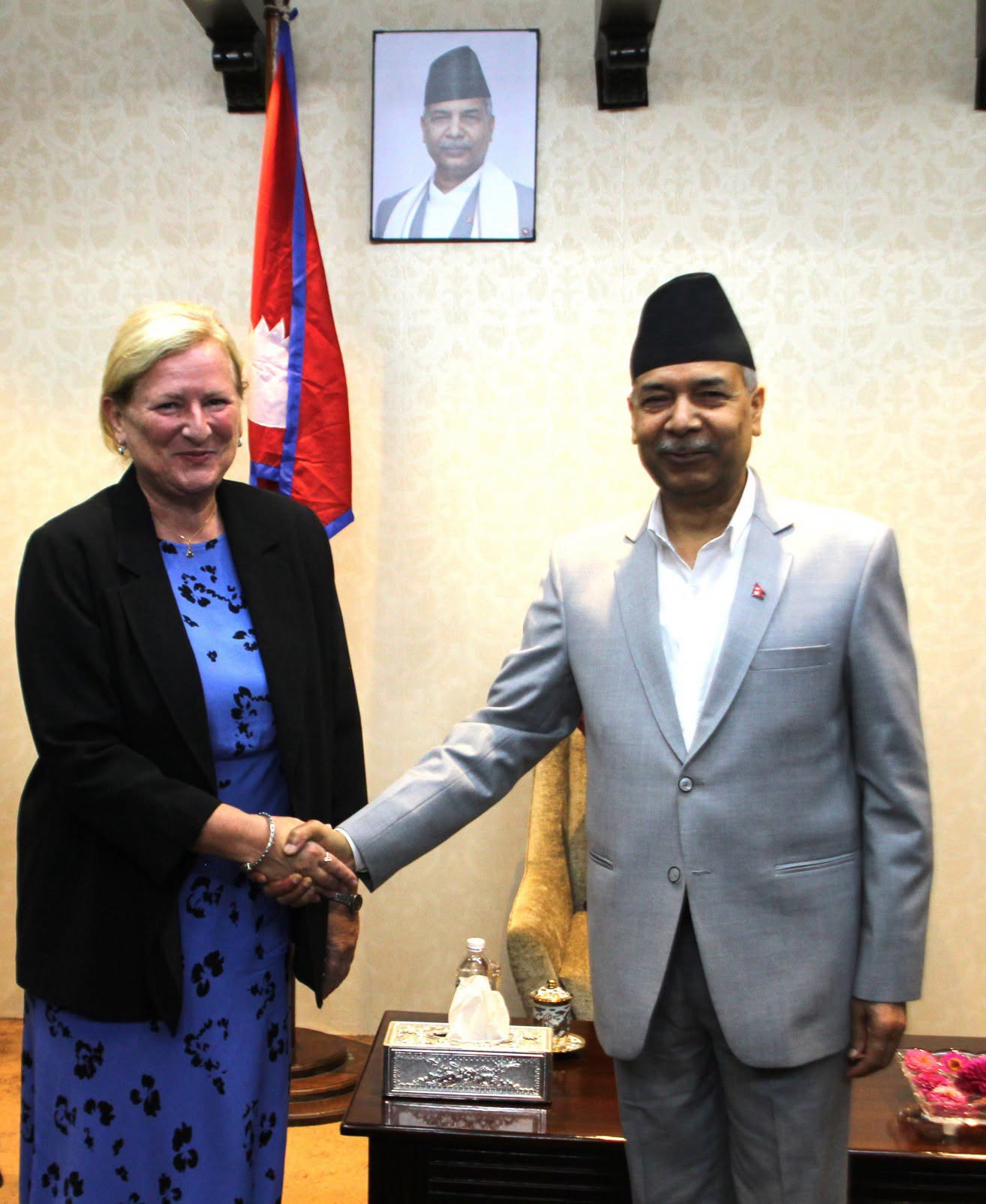 French ambassador pays courtesy call on vice president today