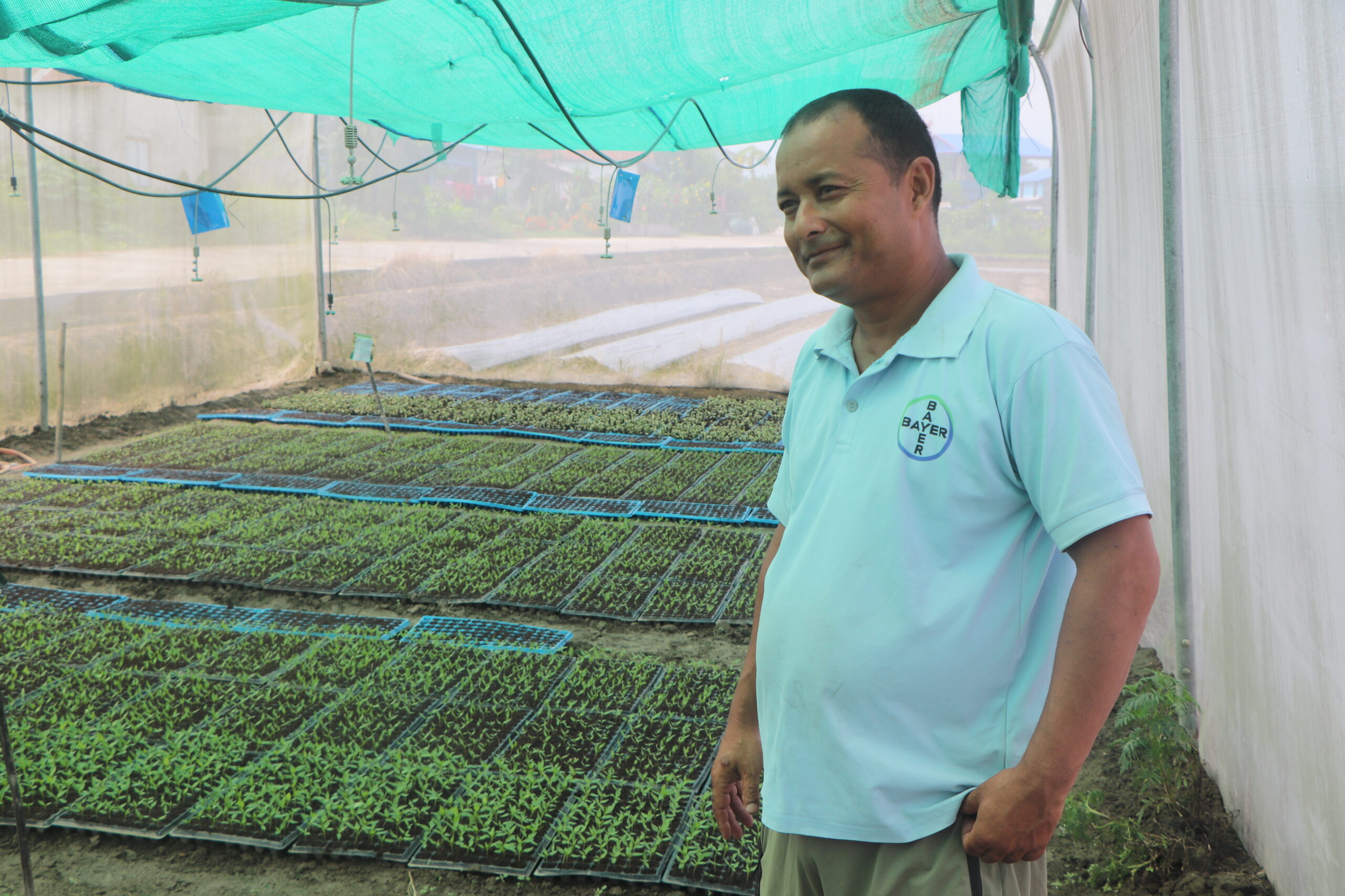 Teacher turned farmer makes decent income from chili farming in Chitwan
