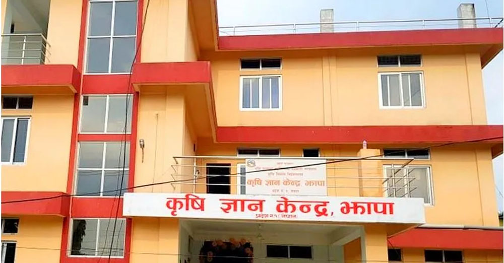 Jhapa’s food grain production declines, cultivated area shrinks