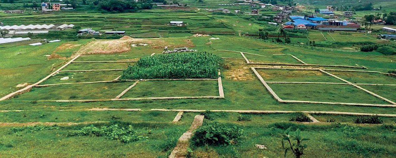 Bagmati real estate transactions rise 33.01 percent, Madhesh slumps in first 9 months of fiscal year