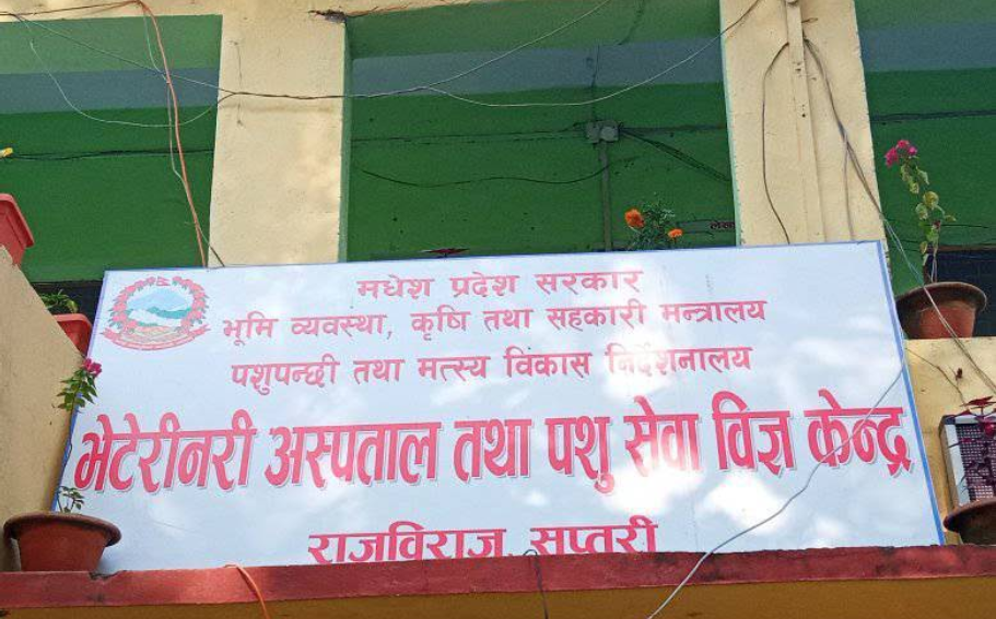 CIAA detains two in Saptari livestock office bribery probe