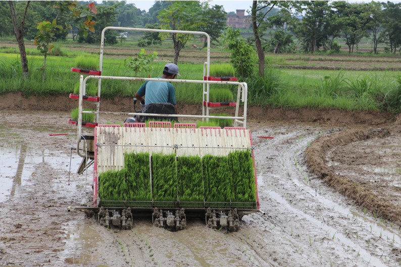 Technology applied in paddy plantation in Nawalparasi