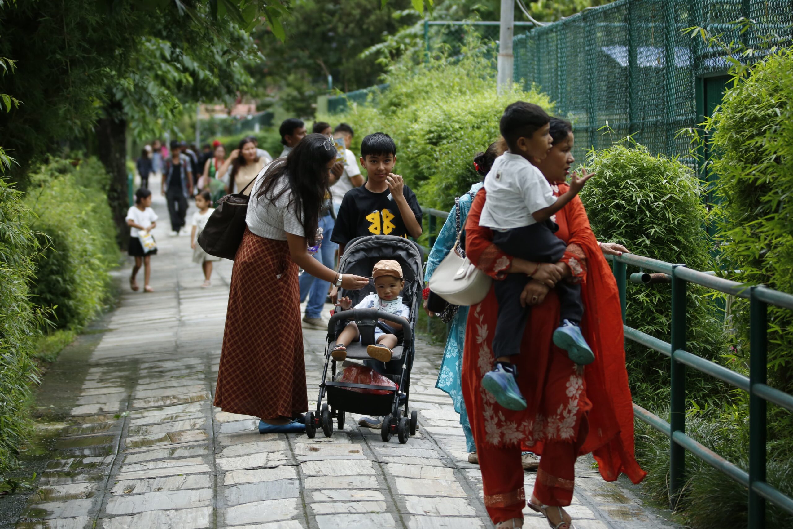 Crowds return as central zoo reopens after month-long closure (Photo feature)