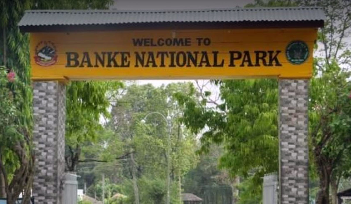 EWS installed to reduce human-wildlife conflict in Banke National Park surroundings