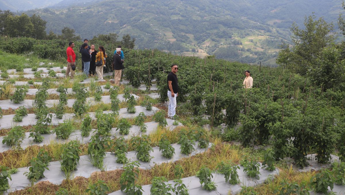 Grants-based initiatives under NAMP prove beneficial for target groups in Bhojpur