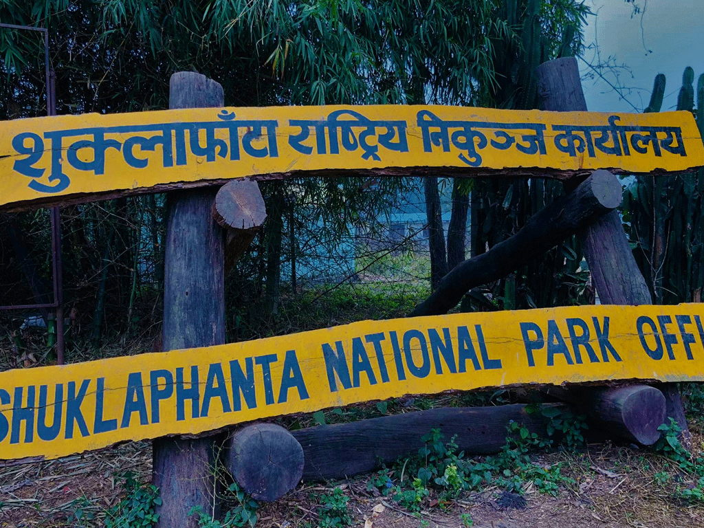 14 women missing after entering Shuklaphanta National Park to forage for mushrooms