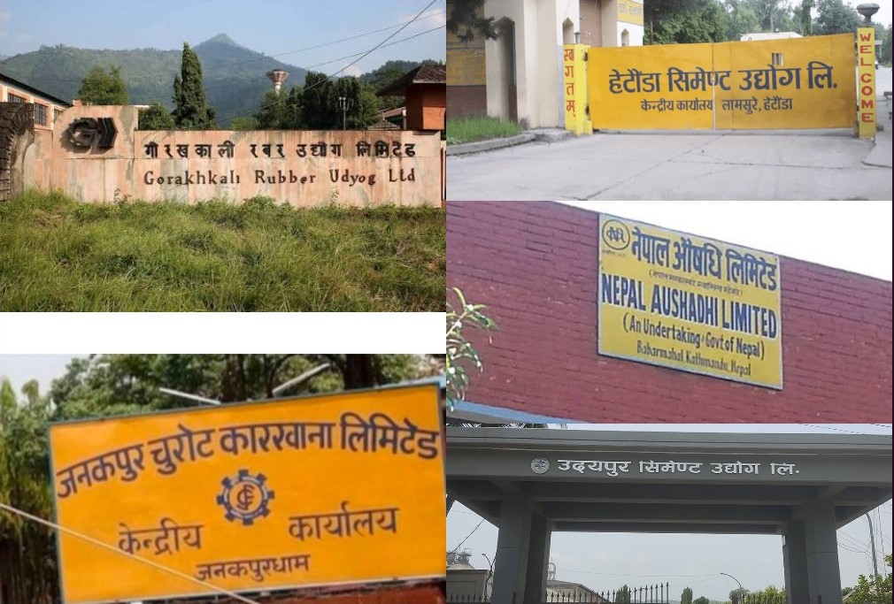 Everything You Need to Know About Nepal’s Public Enterprises in 2026: Mixed Performance, Financial Realities and Strategic Challenges