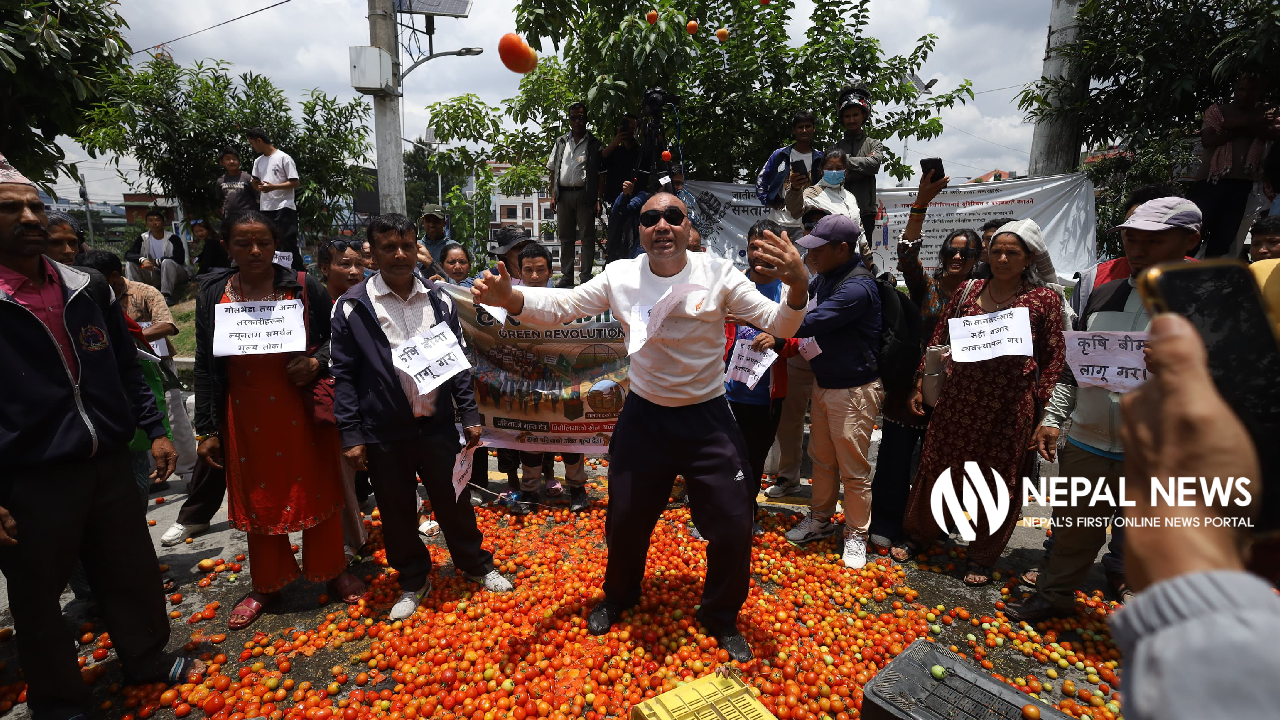Vegetable farmers dump tomatoes in protest over prices and import policies [photo feature]